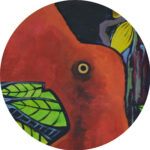 Logo de Limafilm