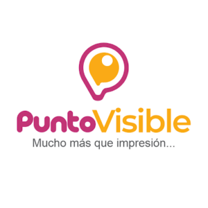 Logo de Punto Visible