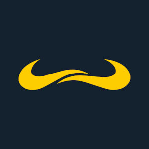 Logo de Torero